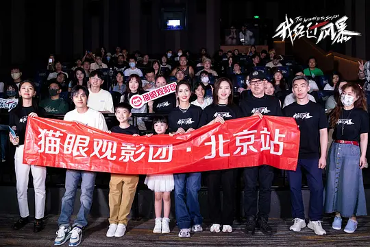 我经过风暴剧照