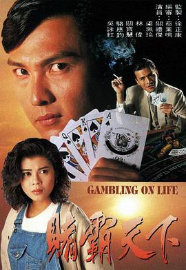 赌霸天下(1993)海报