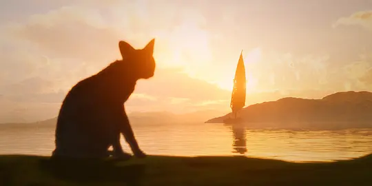 猫猫的奇幻漂流剧照