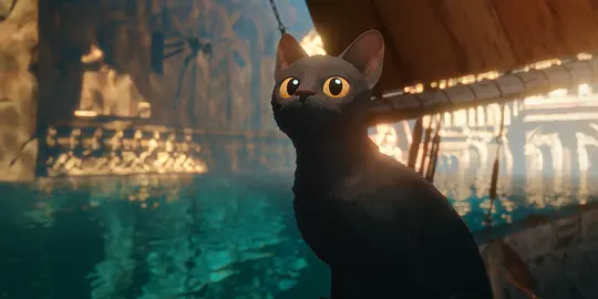 猫猫的奇幻漂流剧照