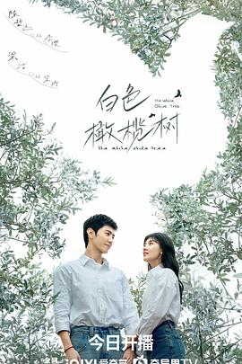 白色橄榄树(2025)海报