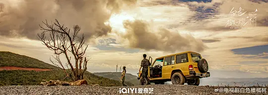 白色橄榄树剧照