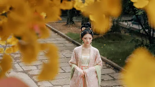 锦绣安宁剧照