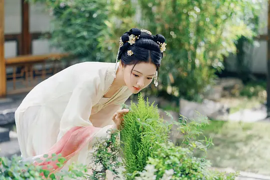 锦绣安宁剧照