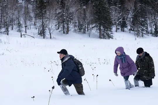 燃冬剧照