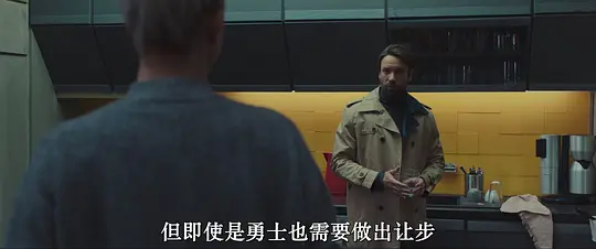 修复体剧照