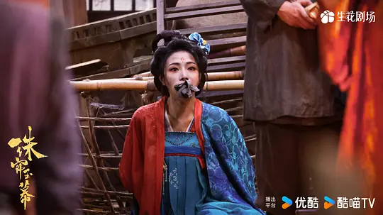 珠帘玉幕剧照