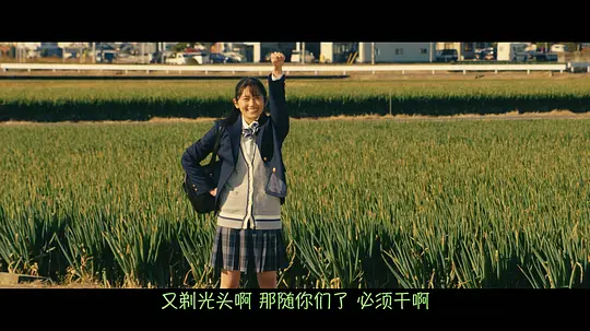 献给棒球部的花束剧照