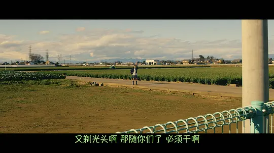 献给棒球部的花束剧照