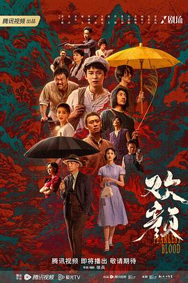 欢颜(2023)海报