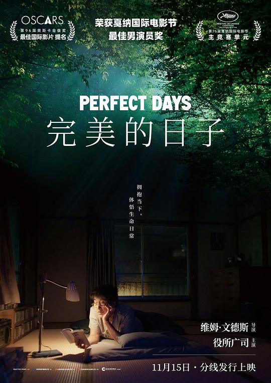 完美的日子(2023)海报