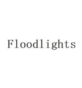 Floodlights(2022)海报