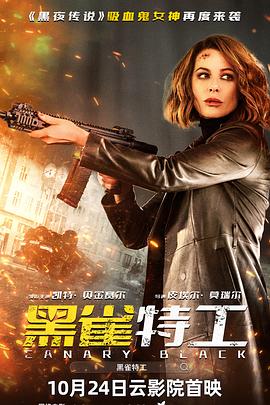 黑雀特工(2024)海报