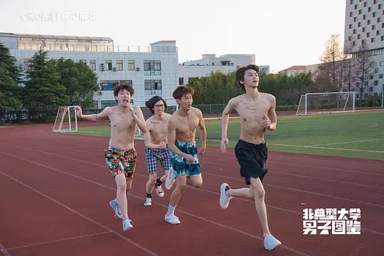 非典型大学男子图鉴剧照