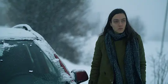 雪与熊剧照