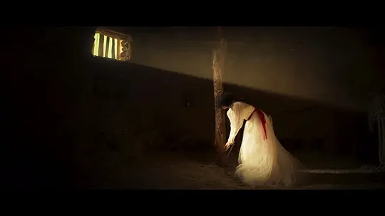 心之歌剧照