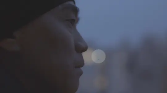 犬舍剧照