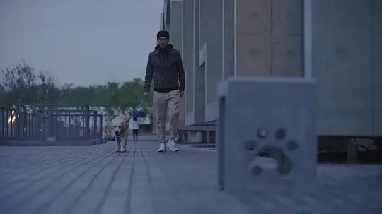 犬舍剧照