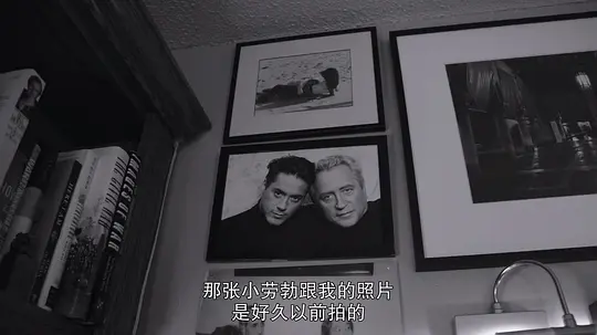 罗伯特·唐尼:自成一格剧照