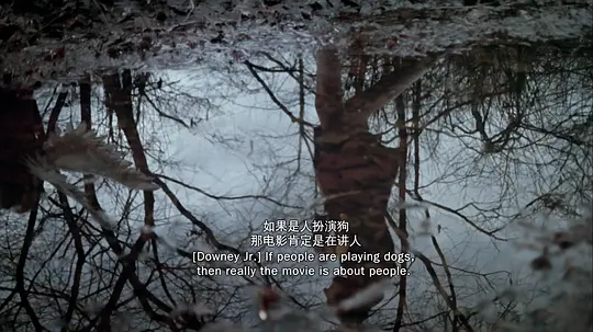 罗伯特·唐尼:自成一格剧照