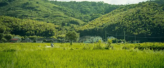 云边有个小卖部剧照