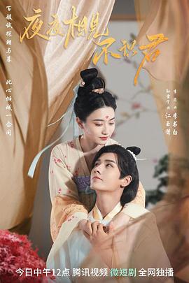 夜夜相见不识君(2023)海报