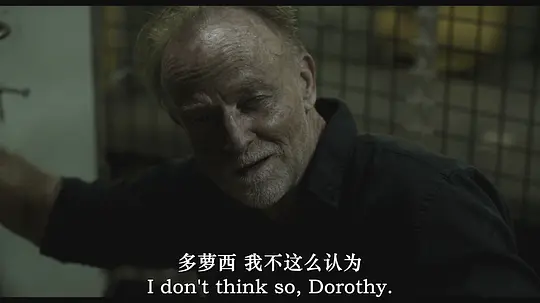 多萝西计划剧照