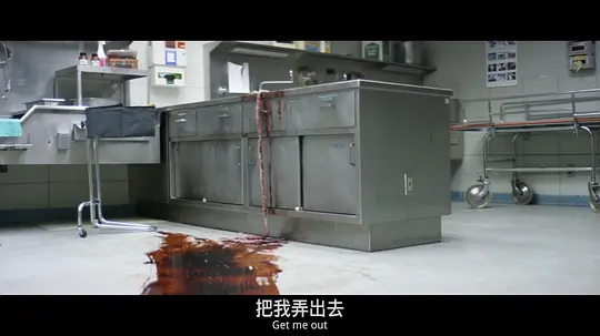 寄人皮下剧照