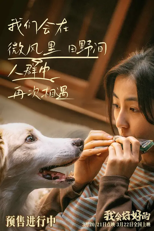 我会好好的剧照