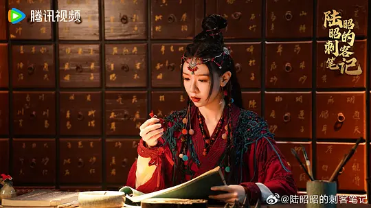 陆昭昭的刺客笔记剧照