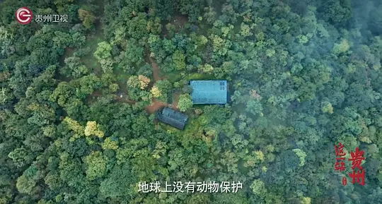 这一站,贵州剧照