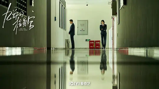 九部的检察官剧照