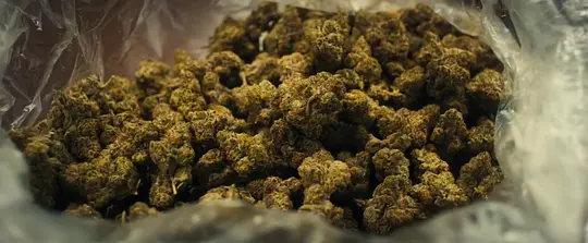 最后的交易剧照
