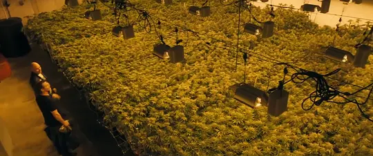 最后的交易剧照
