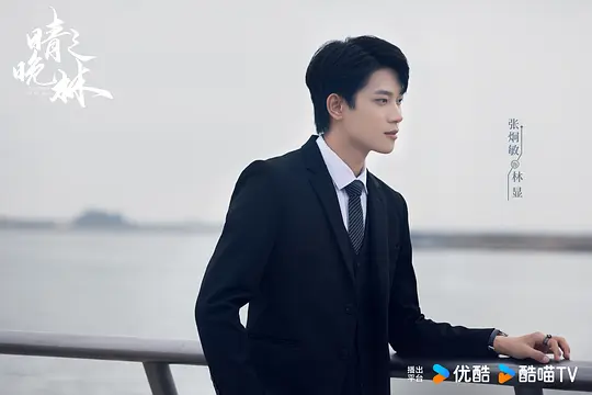 晴晚之林剧照