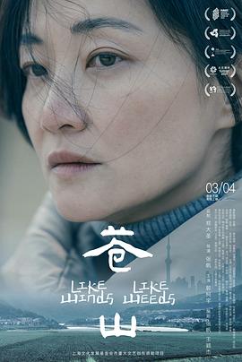 苍山(2023)海报