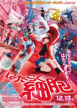 工作细胞 真人版(2024)海报