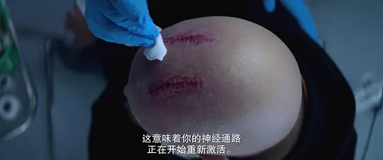 沉睡烈犬剧照