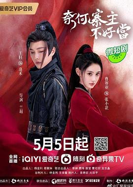 奈何寨主不好当(2023)海报
