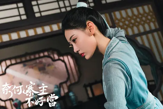奈何寨主不好当剧照