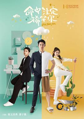 命中注定稀罕你(2025)海报