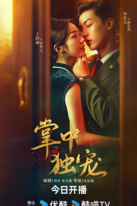 掌中独宠(2024)海报
