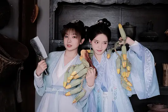 侯府夫人不好当剧照