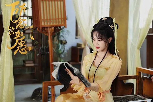 所念皆如愿剧照