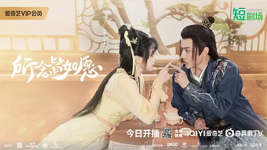 所念皆如愿剧照