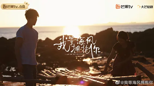 我等海风拥抱你剧照
