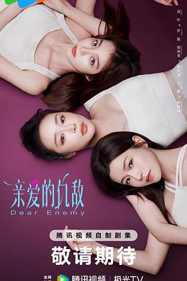 亲爱的仇敌(2025)海报