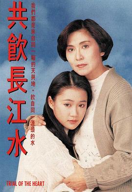 共饮长江水(1991)海报