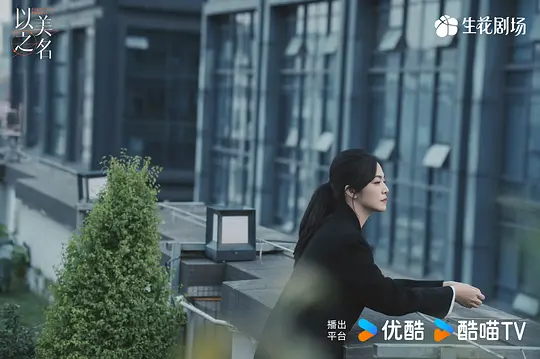 以美之名剧照