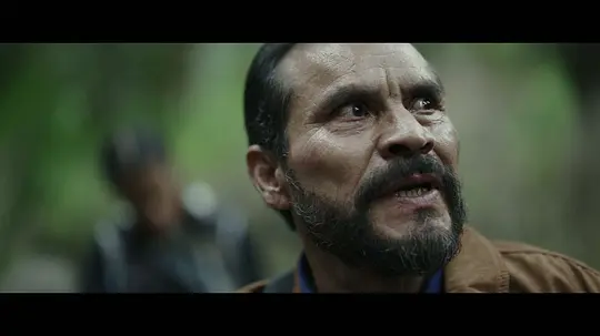 边境奇袭剧照